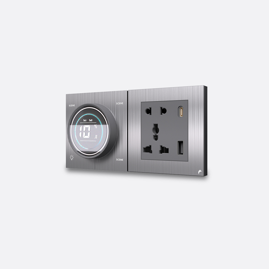 Knob + 4 Switch + Socket-1